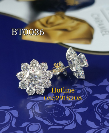 BT0036