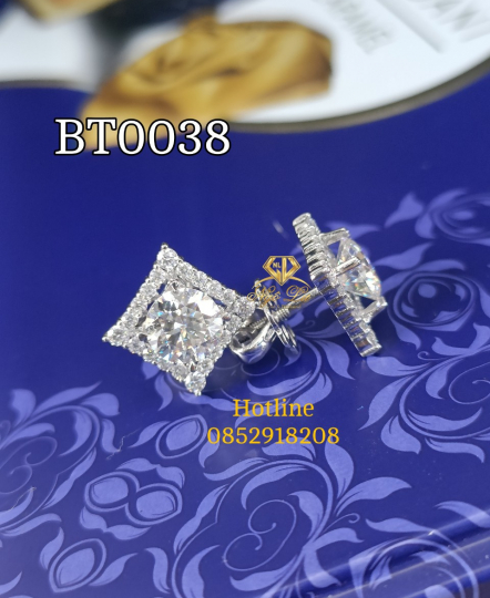 BT0038